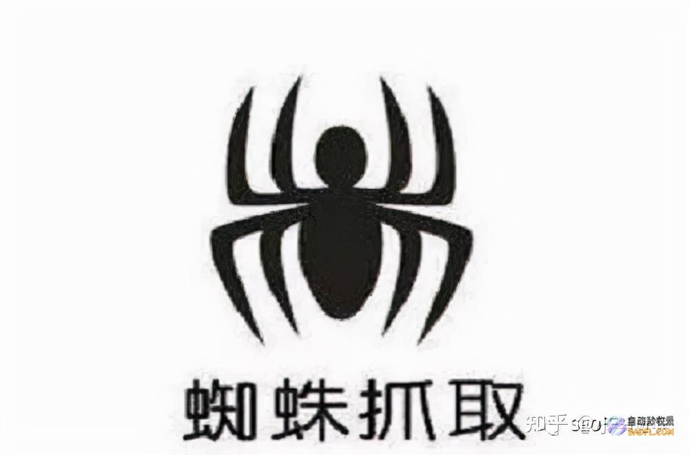 如何吸引蜘蛛频繁的光临自己的网站 (如何吸引蜘蛛出来)