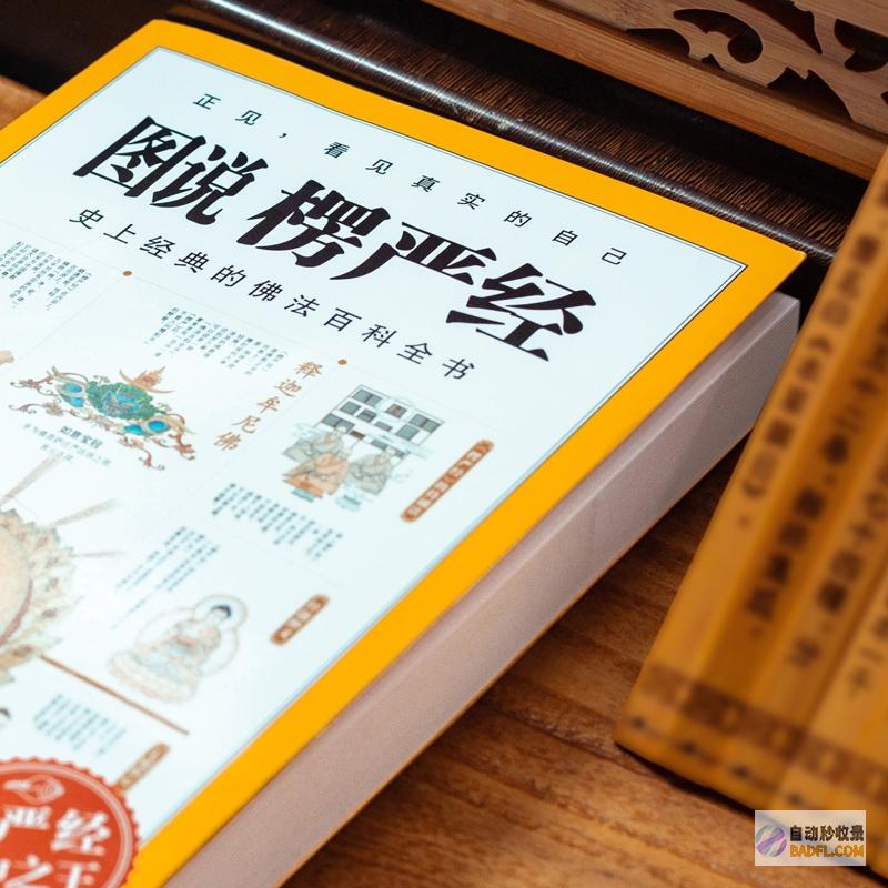 完整教程 经常使用WordPress零基础自建外贸B2C独立站 (完整教程经常做的事情)