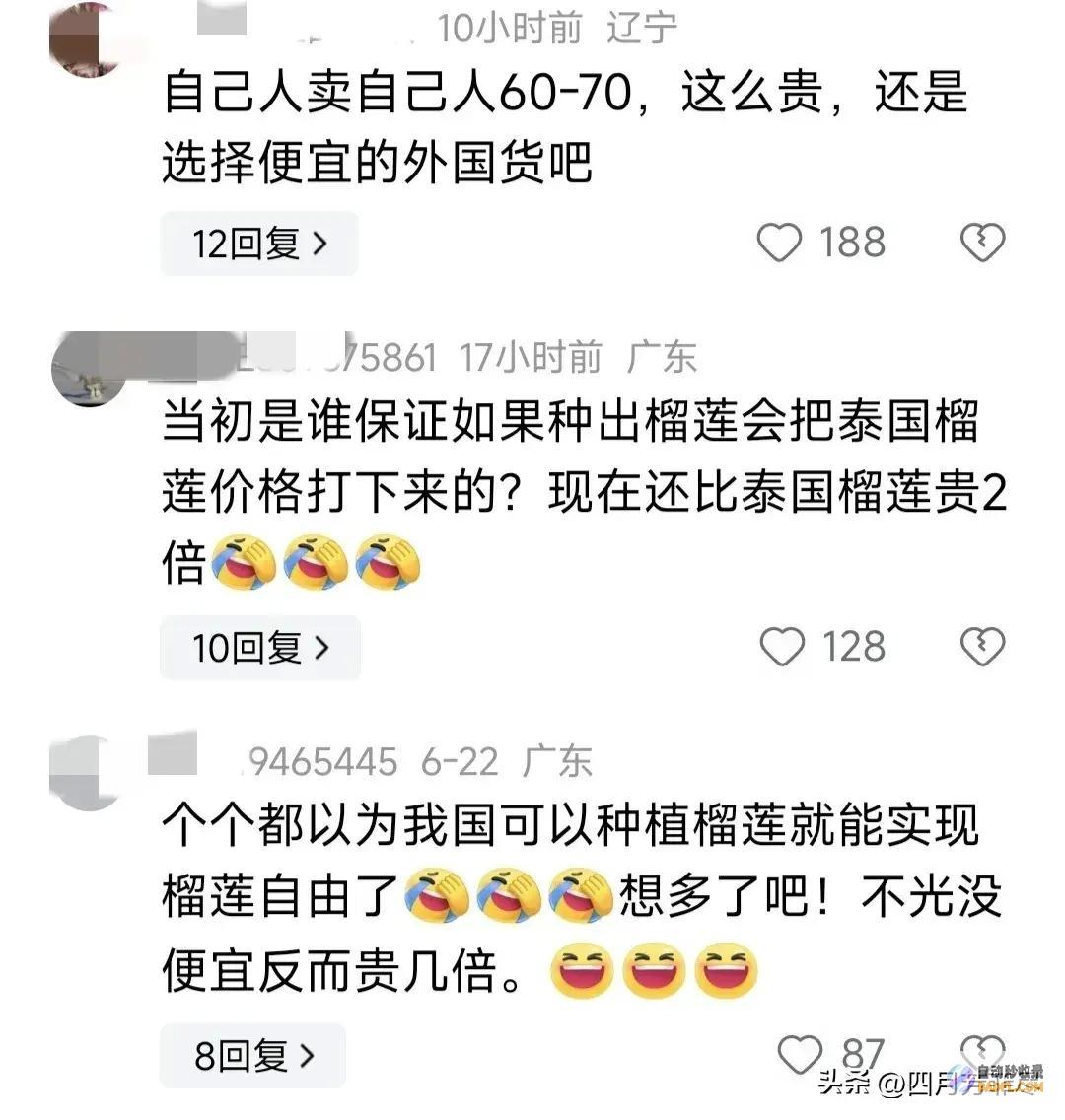 却遭网友群嘲 笑不活了！海南榴莲逐渐上市 (却遭网友群嘲的下一句)