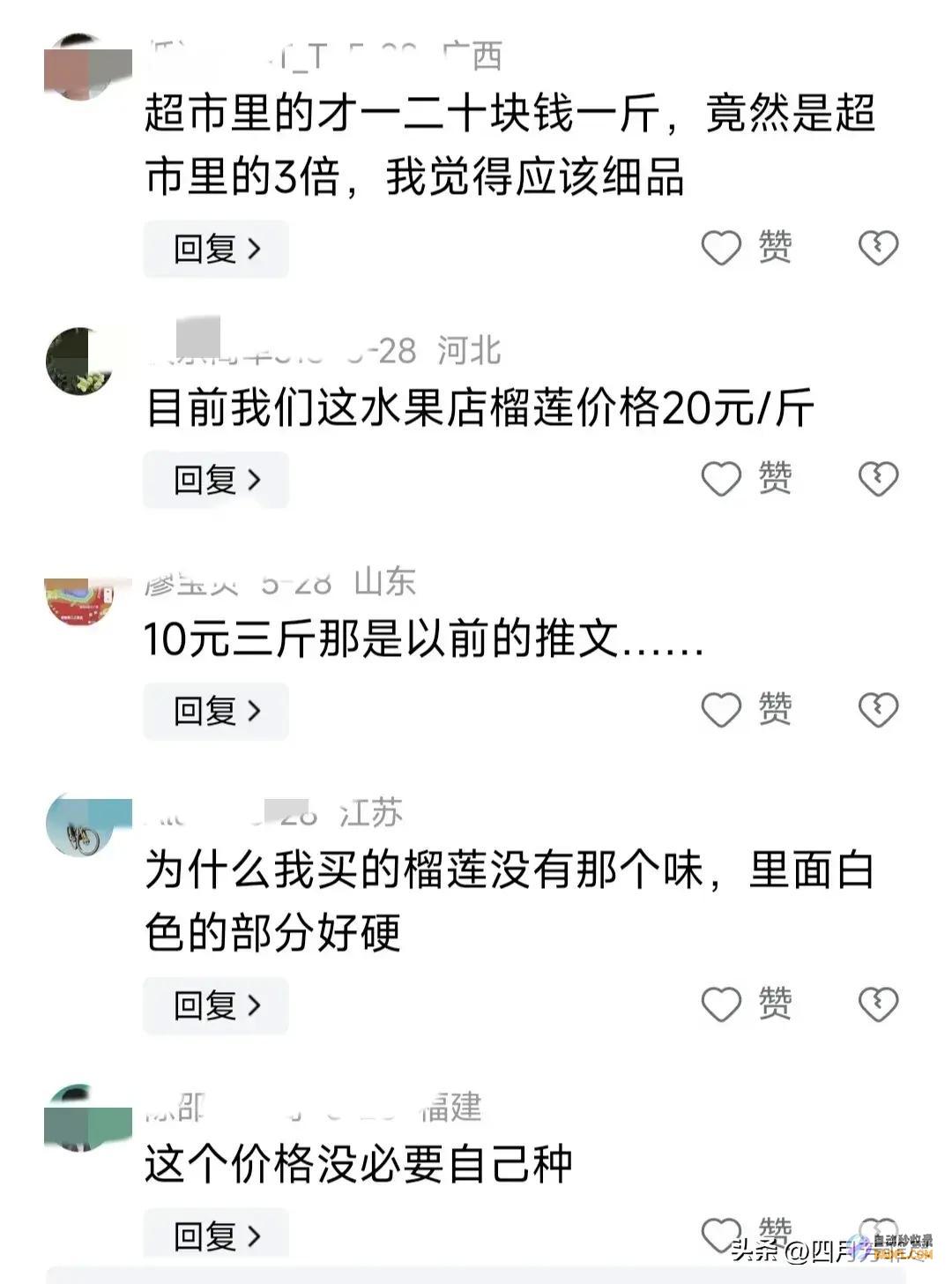 却遭网友群嘲笑不活了榴莲逐渐上市却遭网友