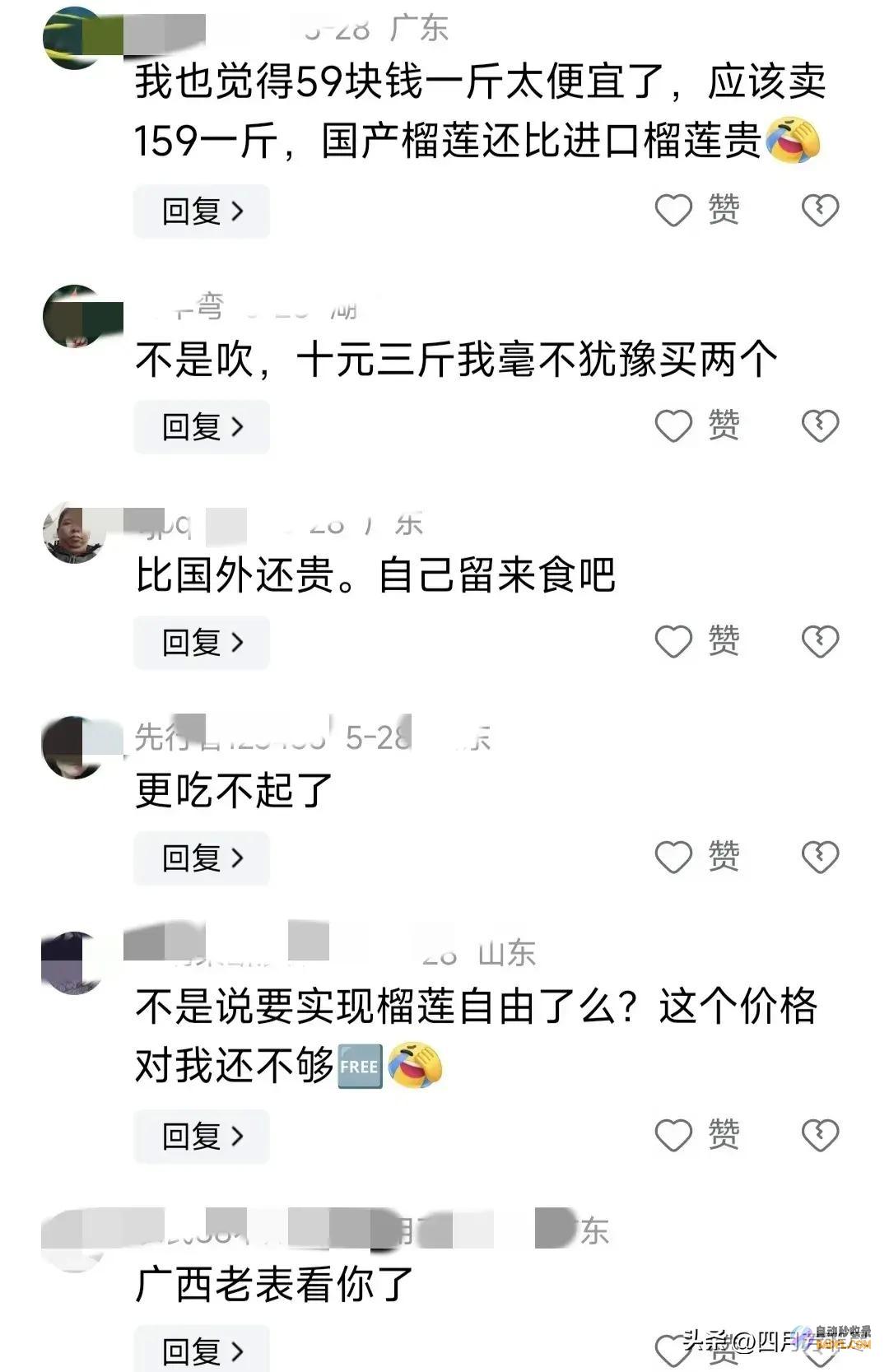 却遭网友群嘲笑不活了榴莲逐渐上市却遭网友