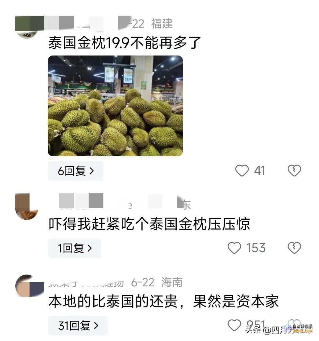 却遭网友群嘲笑不活了榴莲逐渐上市却遭网友