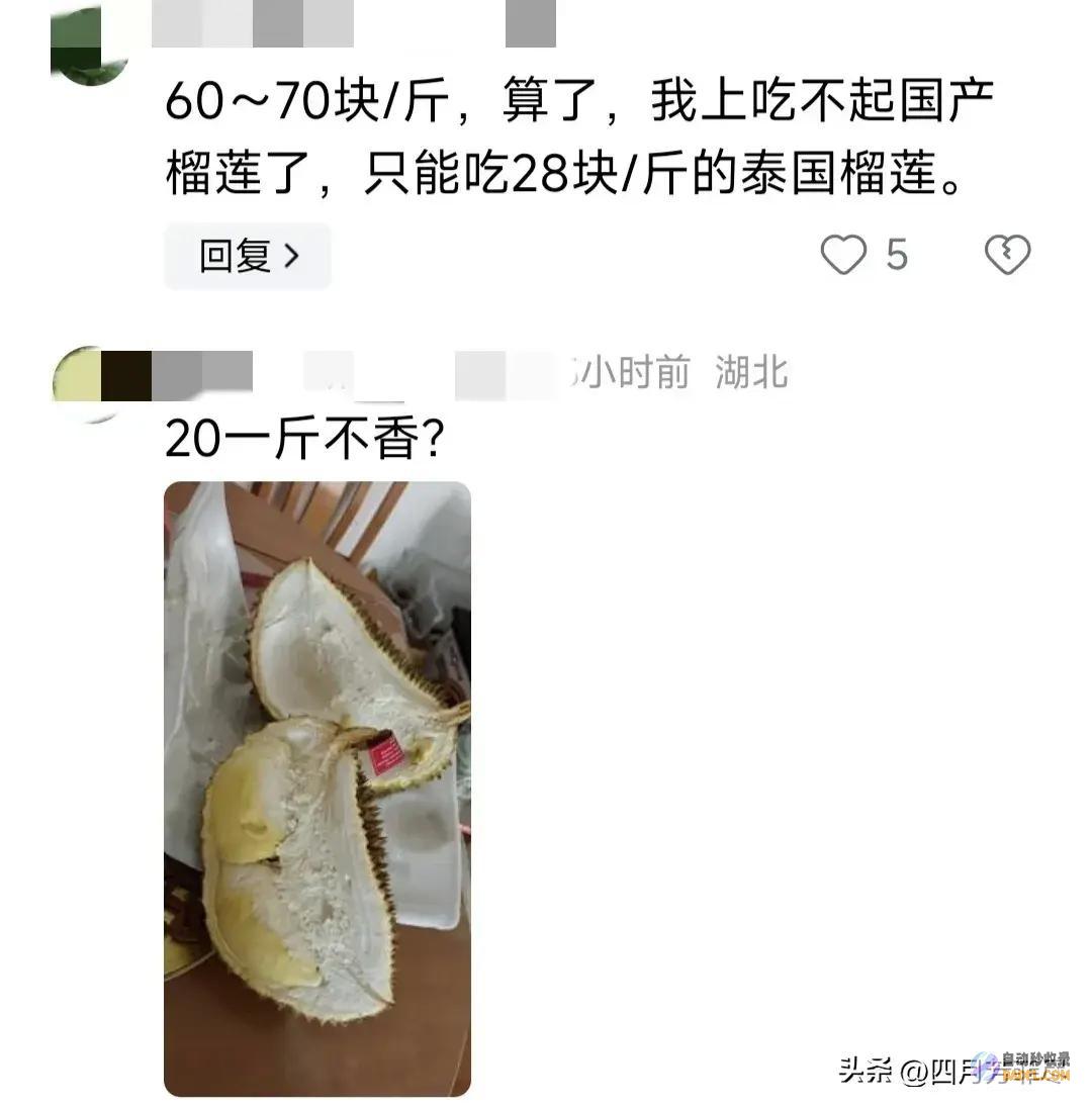 却遭网友群嘲笑不活了榴莲逐渐上市却遭网友