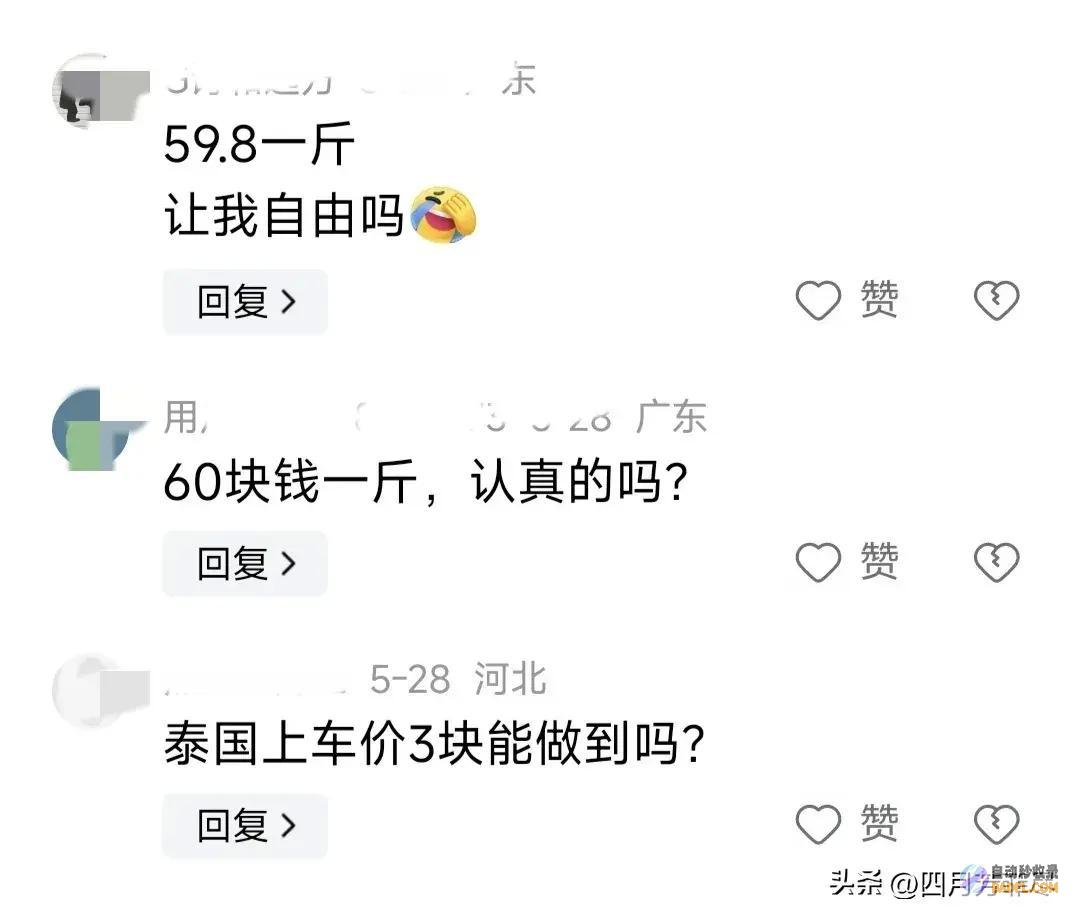 笑不活了海南榴莲逐渐上市却遭网友群嘲笑不活了