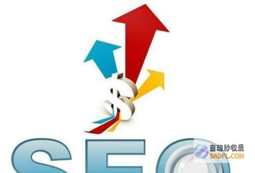 掌握 SEO：优化您的网站并提高搜索引擎排名 (掌握select语句的基本用法心得)