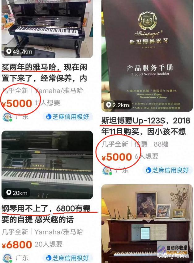 中产父母发懵钢琴崩盘后卖琴的倒了学琴的哭了教