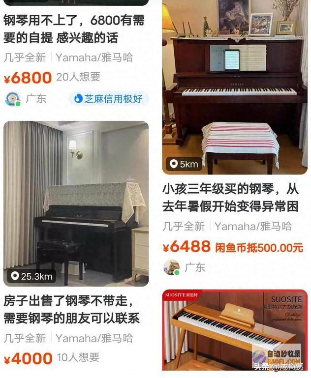 中产父母发懵钢琴崩盘后卖琴的倒了学琴的哭了教