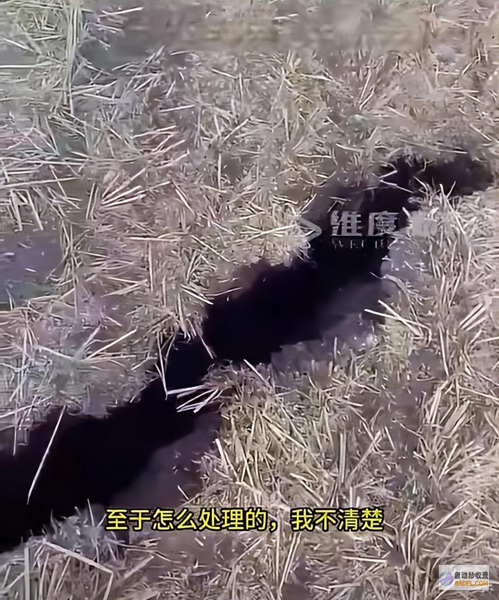 越闹越大评论区炸锅了网传已耕种土地出现大