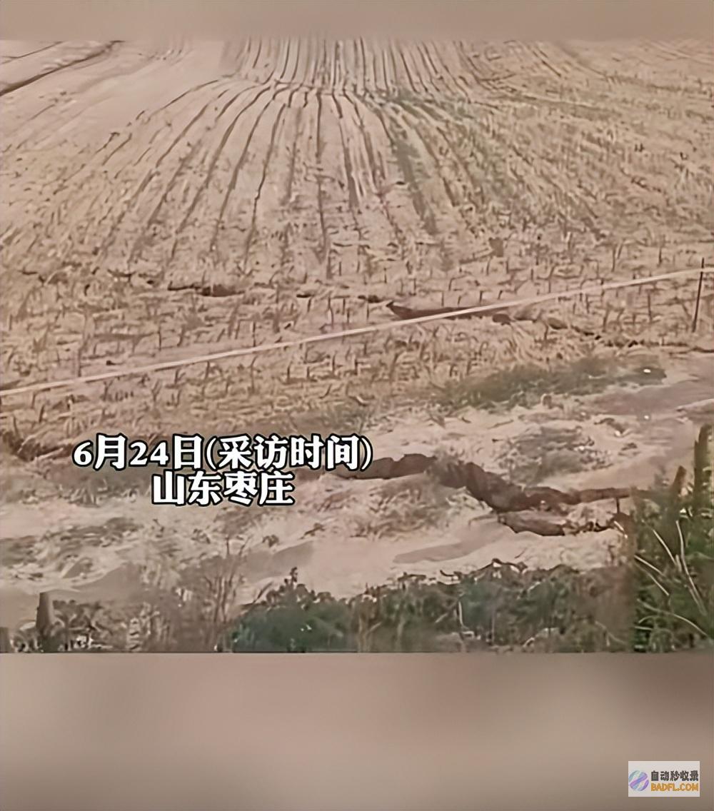 越闹越大评论区炸锅了网传已耕种土地出现大