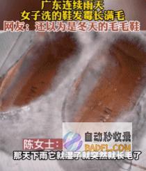 南边人最近在 渡劫 总算明白发配岭南有多可怕了 (南边的人是什么意思)