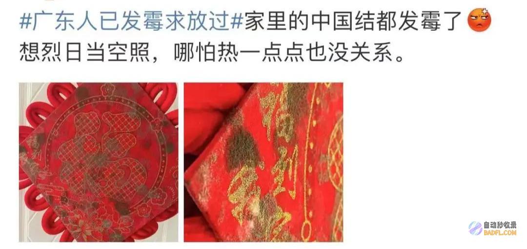 南边人最近在渡劫总算明白发配岭南有多可怕了南