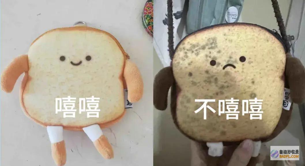南边人最近在渡劫总算明白发配岭南有多可怕了南