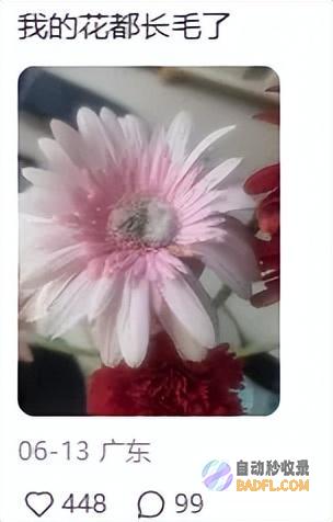 南边人最近在渡劫总算明白发配岭南有多可怕了南