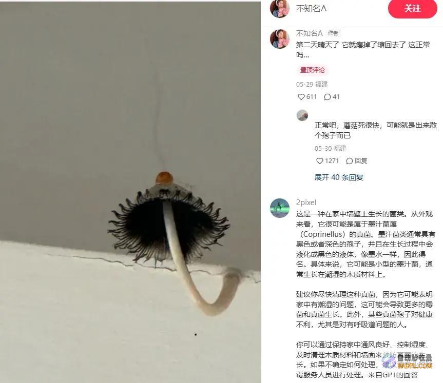 南边人最近在渡劫总算明白发配岭南有多可怕了南