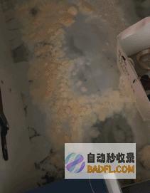 南边人最近在渡劫总算明确发配岭南有多可怕了南