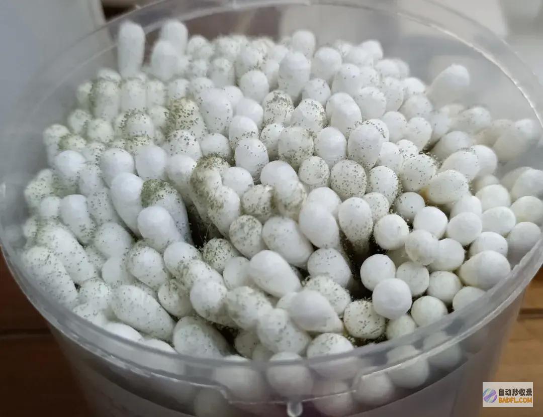 南边人最近在渡劫总算明确发配岭南有多可怕了南