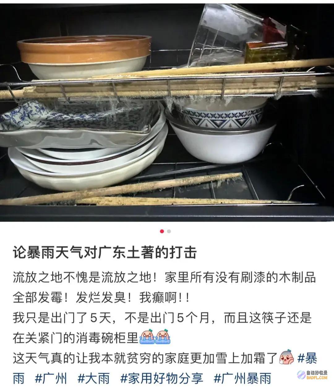 南边人最近在渡劫总算明确发配岭南有多可怕了南