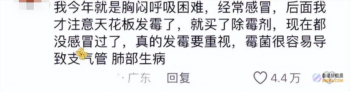 南边人最近在渡劫总算明确发配岭南有多可怕了南