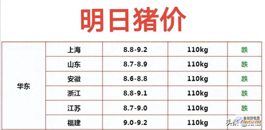 猪肉米研发完成 明天猪价预测 蒸熟后是饭还是肉 跌得一塌懵懂 (米猪肉会流向市场吗)