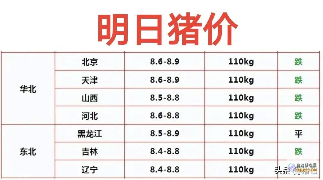 猪肉米研发完成明天猪价预测蒸熟后是饭还是肉跌