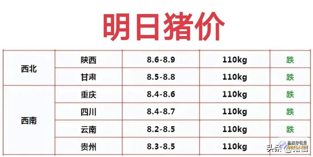 猪肉米研发完成明天猪价预测蒸熟后是饭还是肉跌