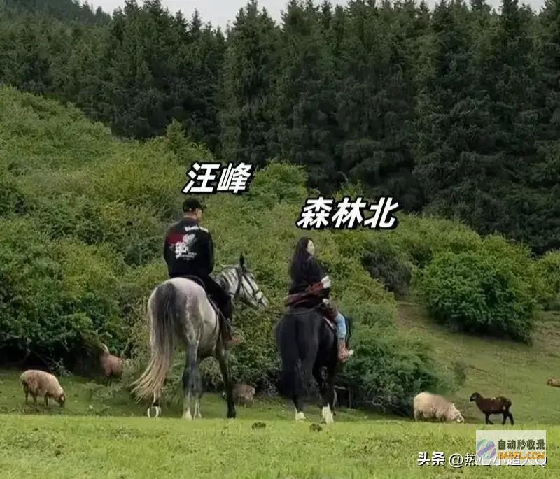 章子怡素颜健身照曝光突然了解汪峰如老太太男人