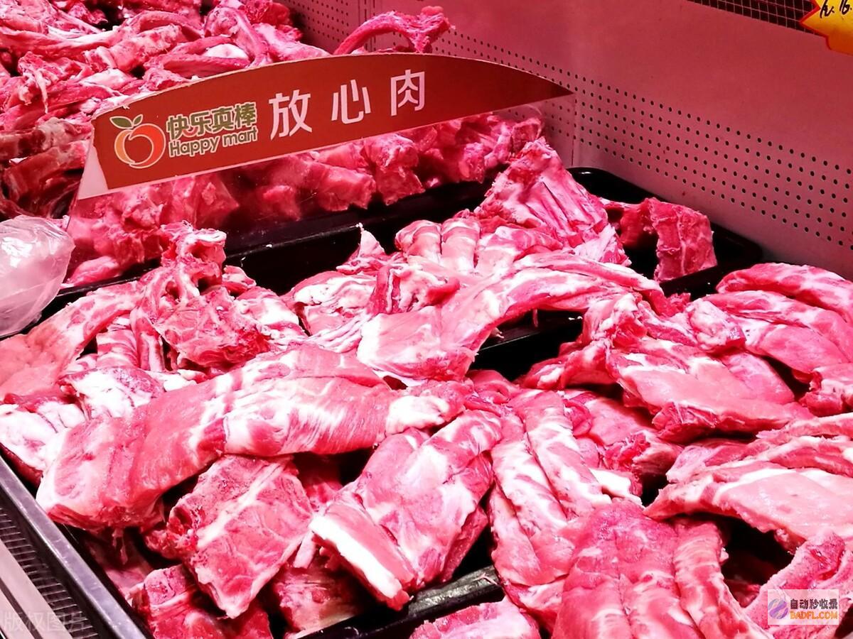 猪价激烈涨价马上开启今天猪价一夜大变6月25日