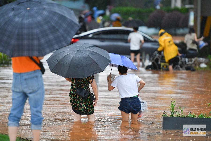 往年首个暴雨白色预警颁布 如何安保有效防范 (往年首个暴雨是哪一年)