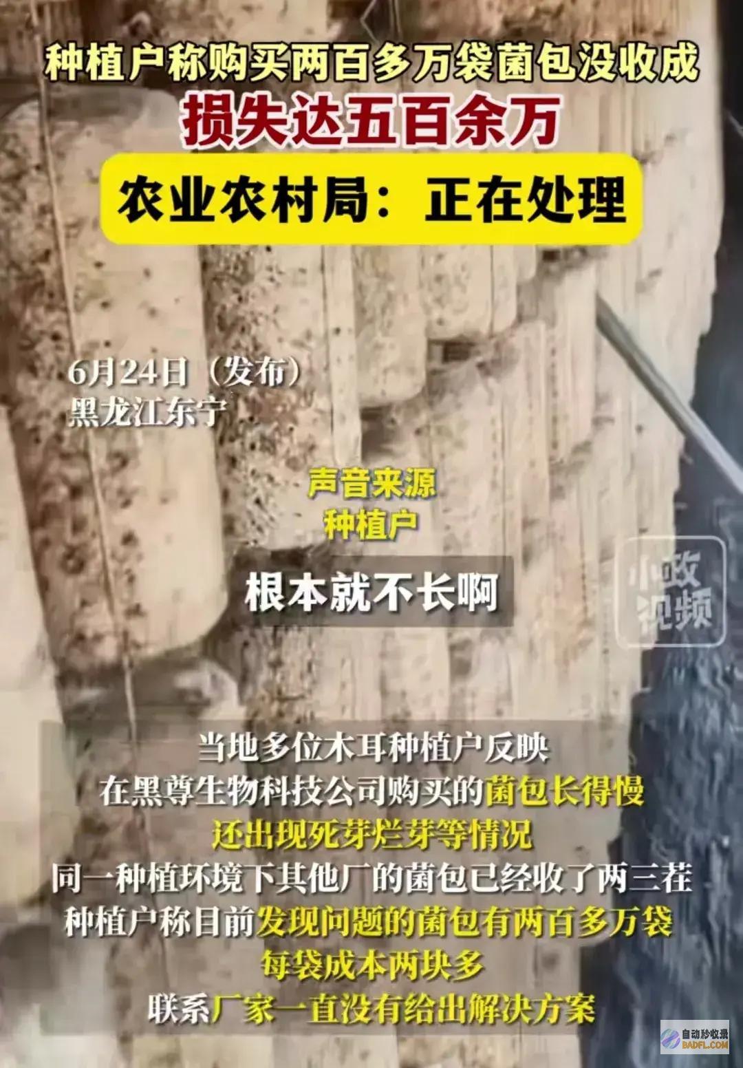 你也别活炸锅200万袋菌包没收成不让老百姓