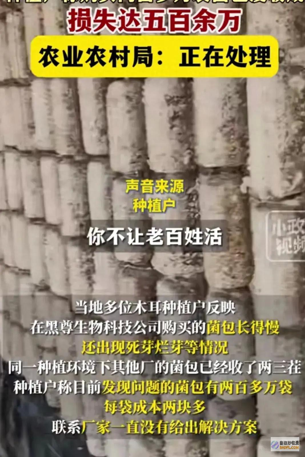 你也别活炸锅200万袋菌包没收成不让老百姓