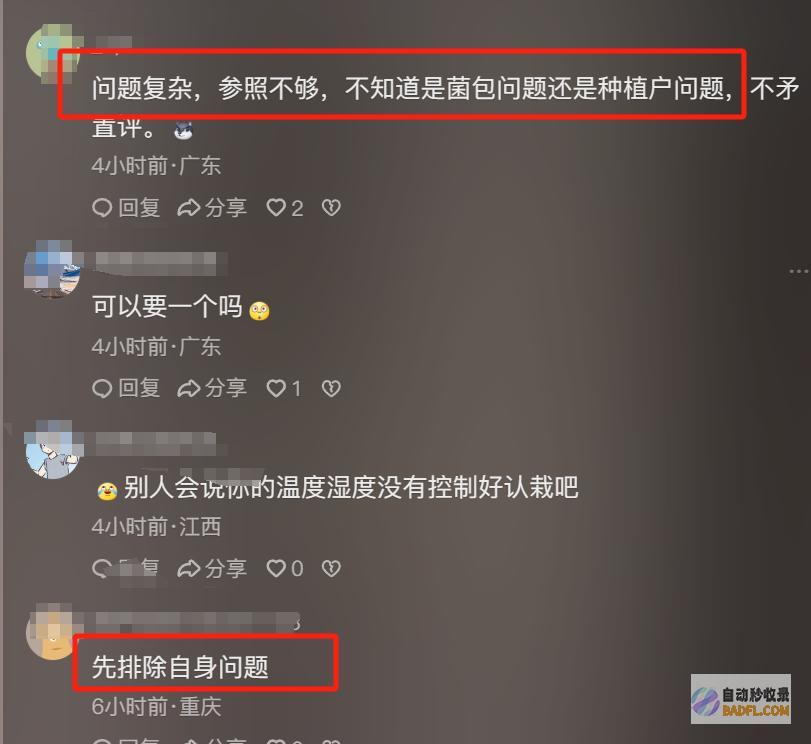你也别活炸锅200万袋菌包没收成不让老百姓