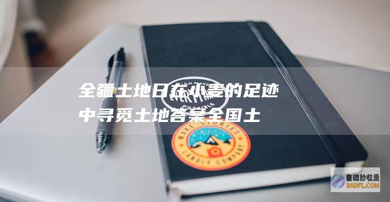 全疆土地日 在小麦的足迹中寻觅土地答案 (全国土地日什么意思)