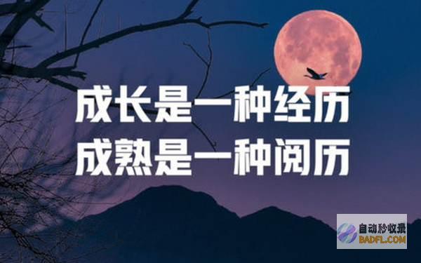一醒悟来天塌了 分数线下跌引发的波涛 聚焦河北高考 评论区 (一觉醒来天塌了)