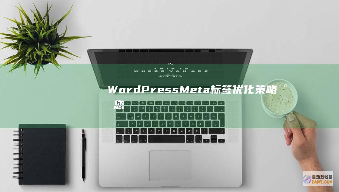 WordPress Meta 标签优化策略：将您的网站提升至更高水平 (wordpress自助建站)