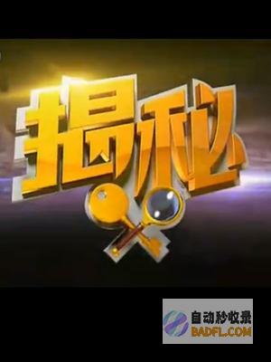 揭秘WordPress移动优化策略：确保您的网站在移动设备上闪耀 (揭秘我才是西鱼)