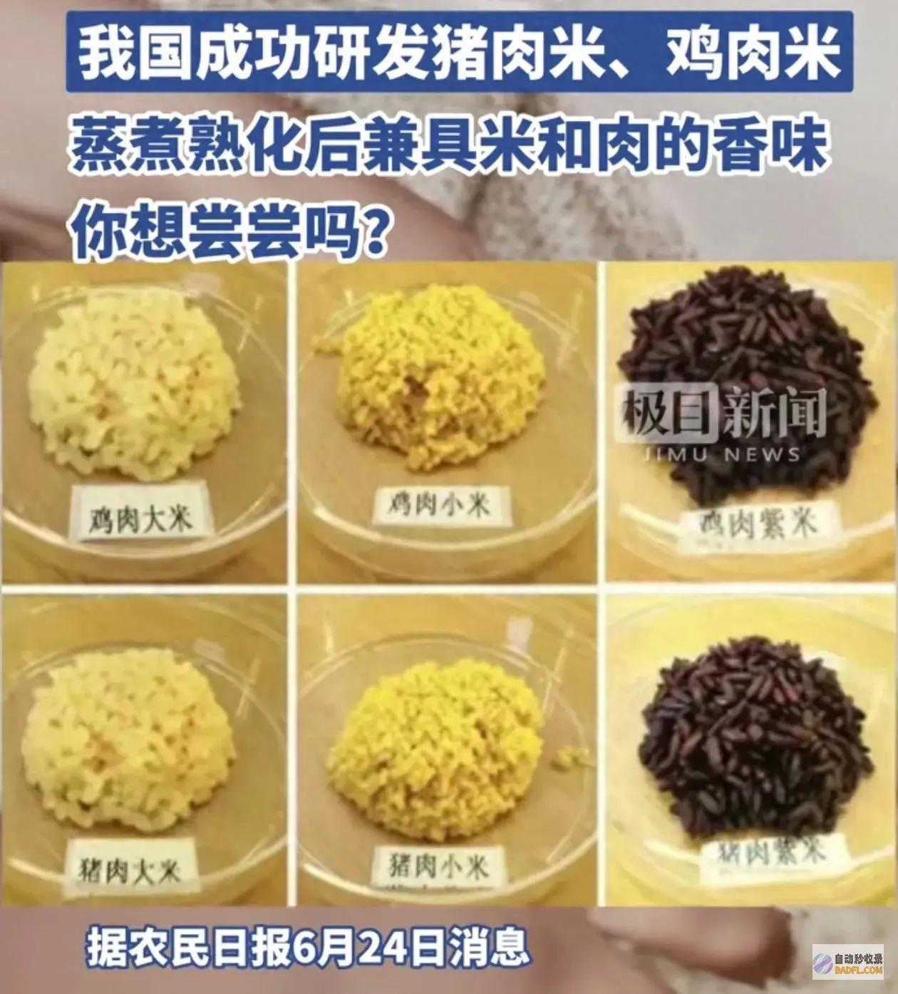 猪肉米 鸡肉米 有口福了 米里含肉评论区炸锅 我国完成研收回 (猪肉米鸡肉米饭怎么做)