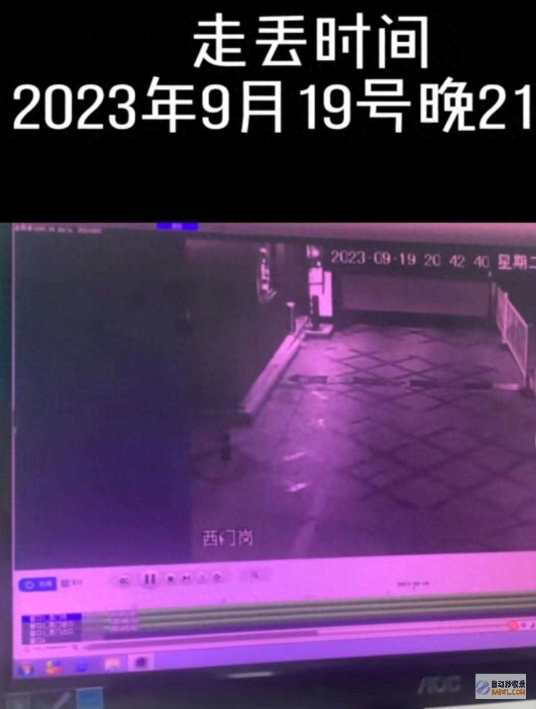 是个奇观 柴犬失落9个月于500公里外被民警找回 客人 (是个奇观柴犬的说说)
