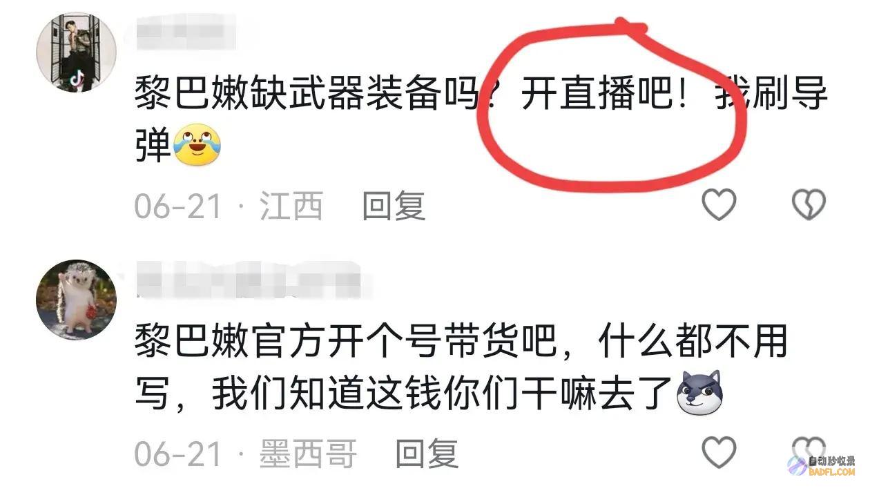 网友黎巴嫩你有点帅皆大欢喜终于遭报应了