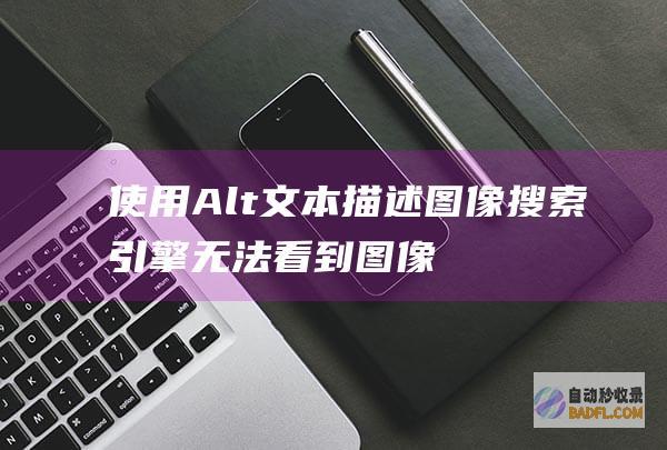 使用 Alt 文本描述图像:搜索引擎无法看到图像,因此使用 Alt 文本描述图像的主题。(用altstore)