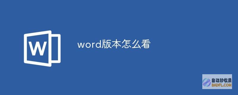 用WordPress优化可访问性：打造满足所有人需求的包容性网站 (用word排版照片)