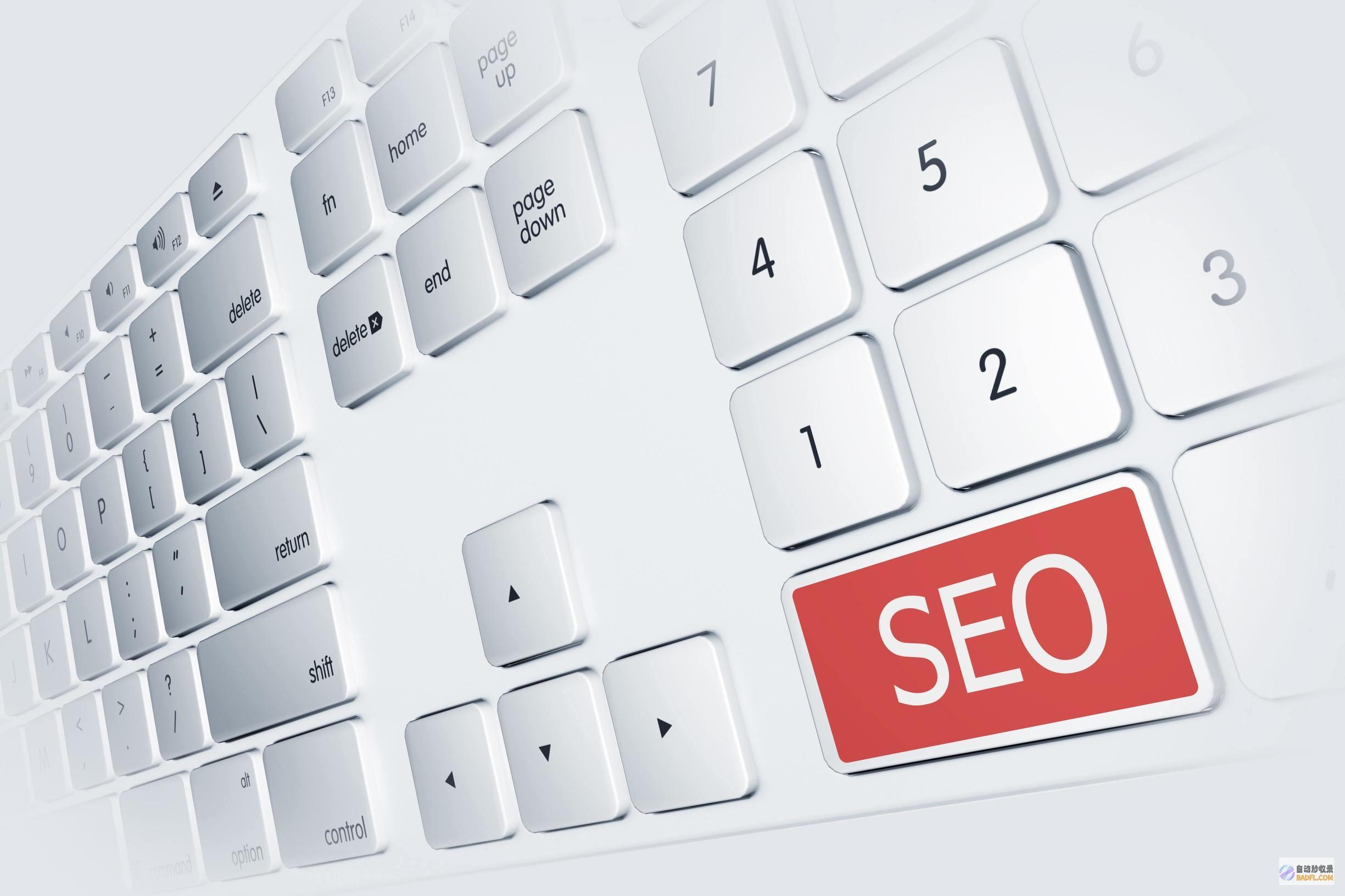 seo网络推行怎样做 (seo网络推广什么意思)