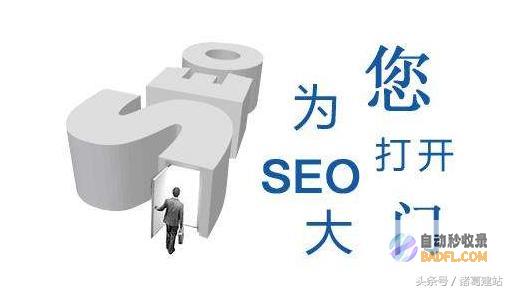 网站SEO推行方案书怎样写