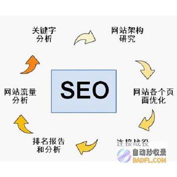 seo新手如何极速入门百度推行 (seo新手如何入门)