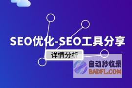 SEO极速排名的软件有哪些 (seo快速排名软件推荐)