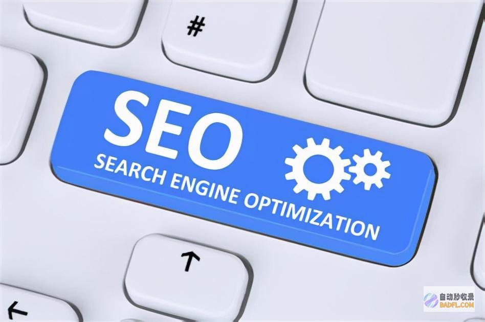 seo排名软件怎么做