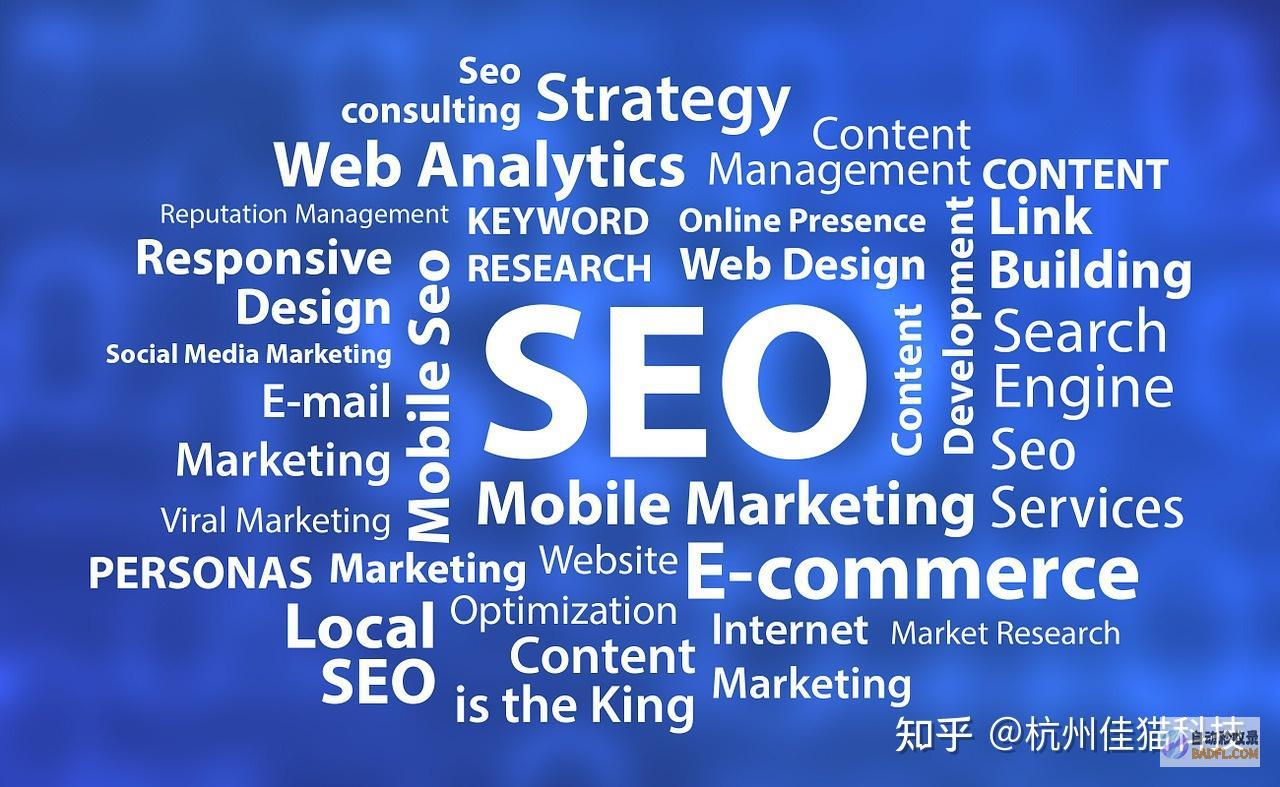 seo入门要先学什么 (seo 入门)