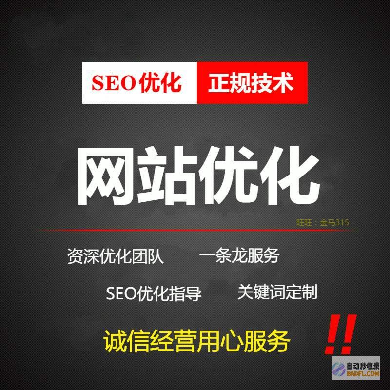 seo网站排名优化培训教程 (seo网站排名)