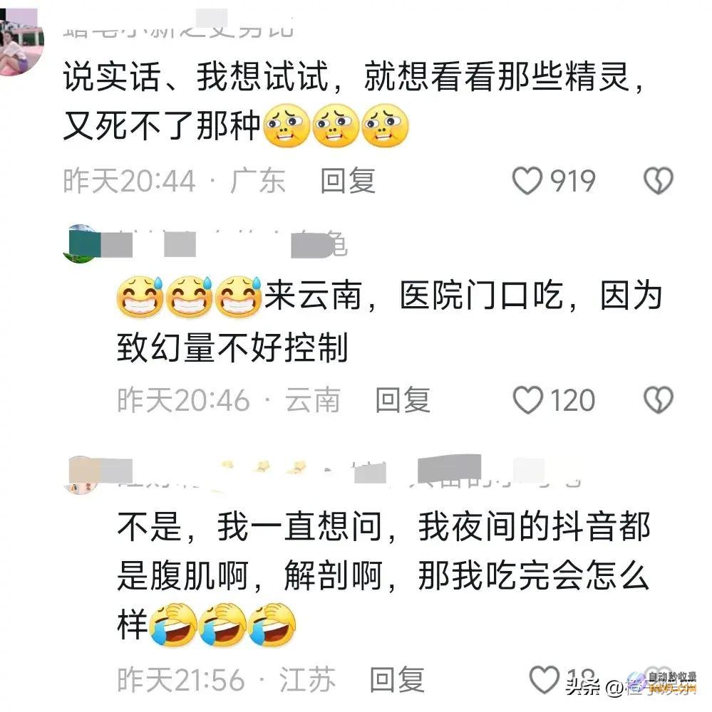评论区笑死 监控下狗狗的魔怔了 笑疯了！客人给狗狗喂食菌子 (笑死在评论区)