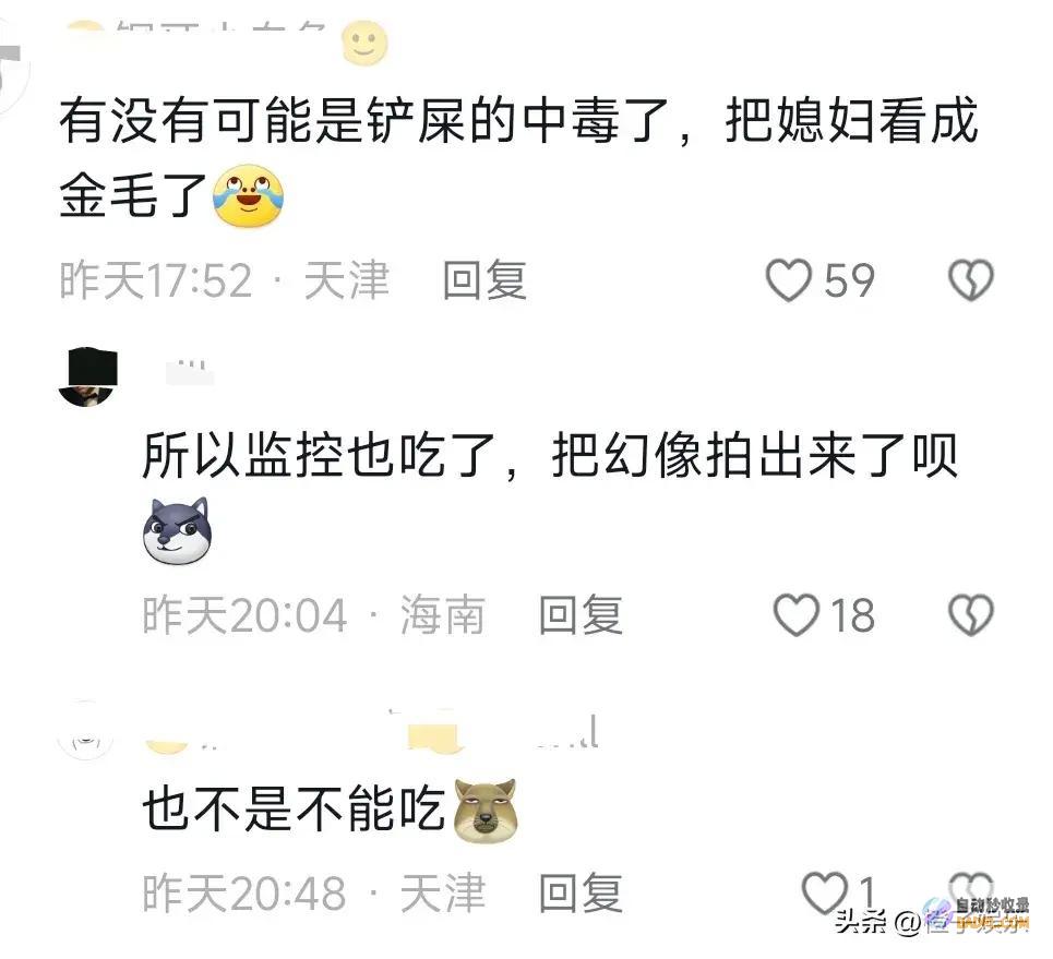 区笑死监控下狗狗的魔怔了笑疯了客人给狗狗