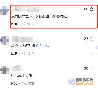 孩子没3岁惨不忍睹痛苦哀嚎突发广东母子被撞后